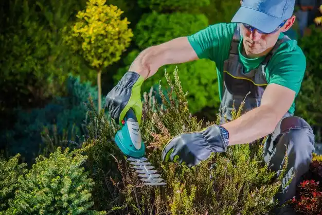 landscaping services Marshallville